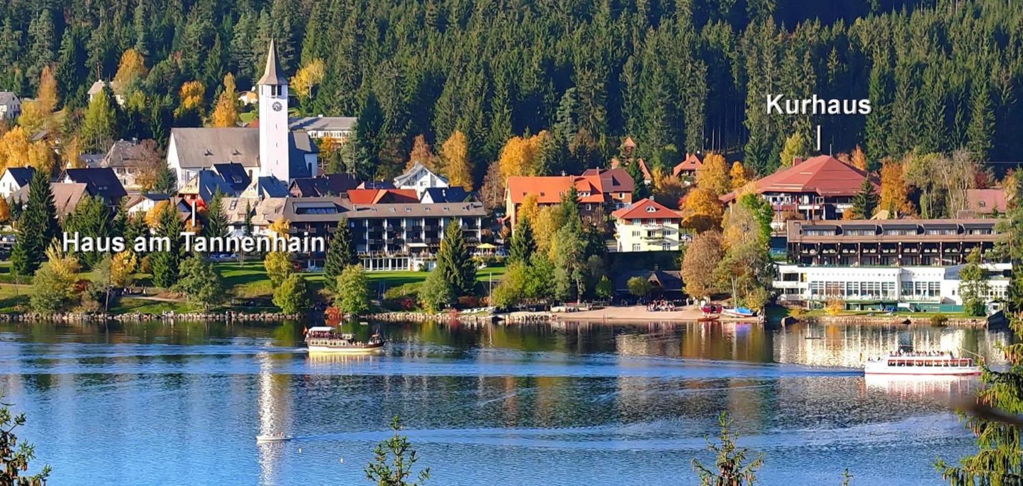 Haus Am Tannenhain Титизее-Нойштадт Экстерьер фото
