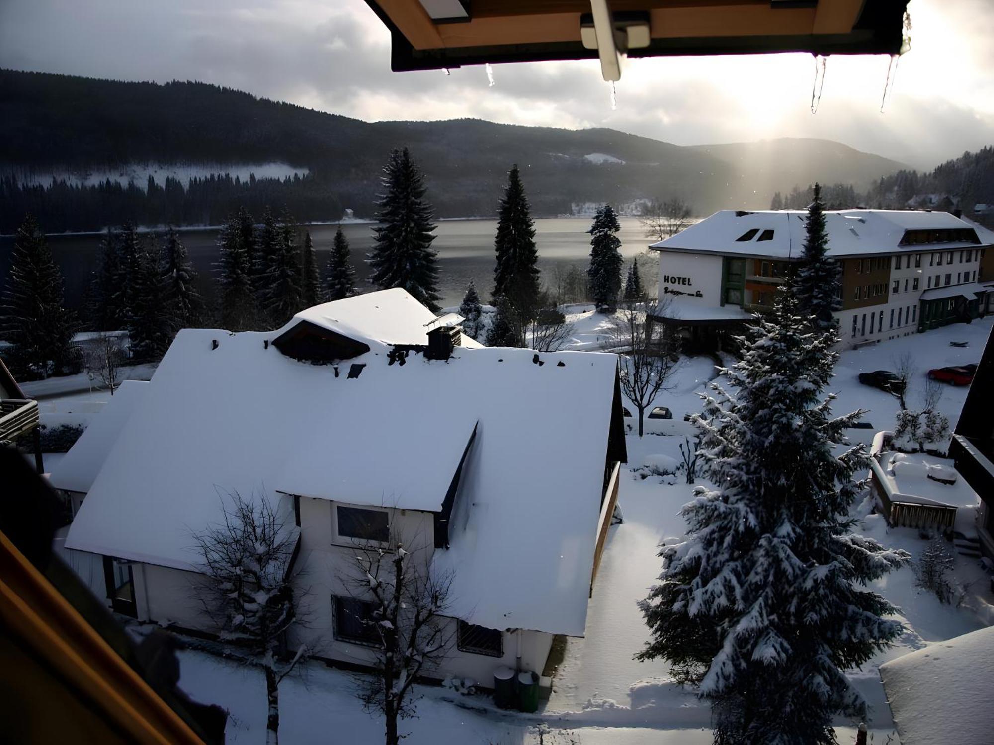 Haus Am Tannenhain Титизее-Нойштадт Экстерьер фото