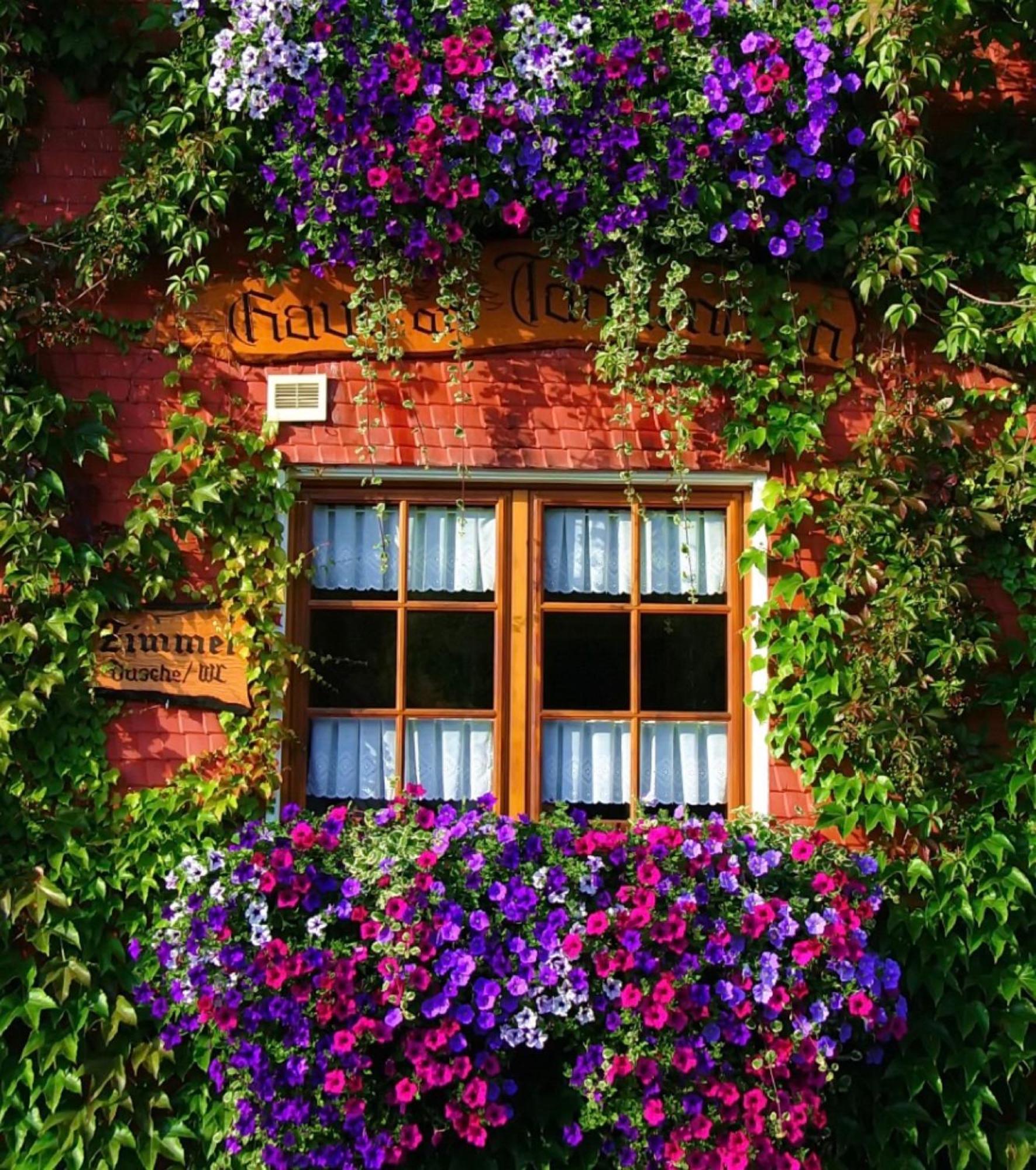 Haus Am Tannenhain Титизее-Нойштадт Экстерьер фото
